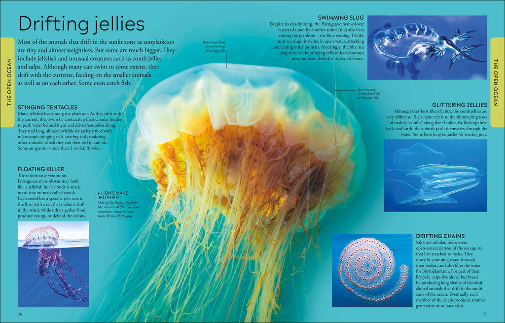 Ocean A Children's Encyclopedia: New Edition