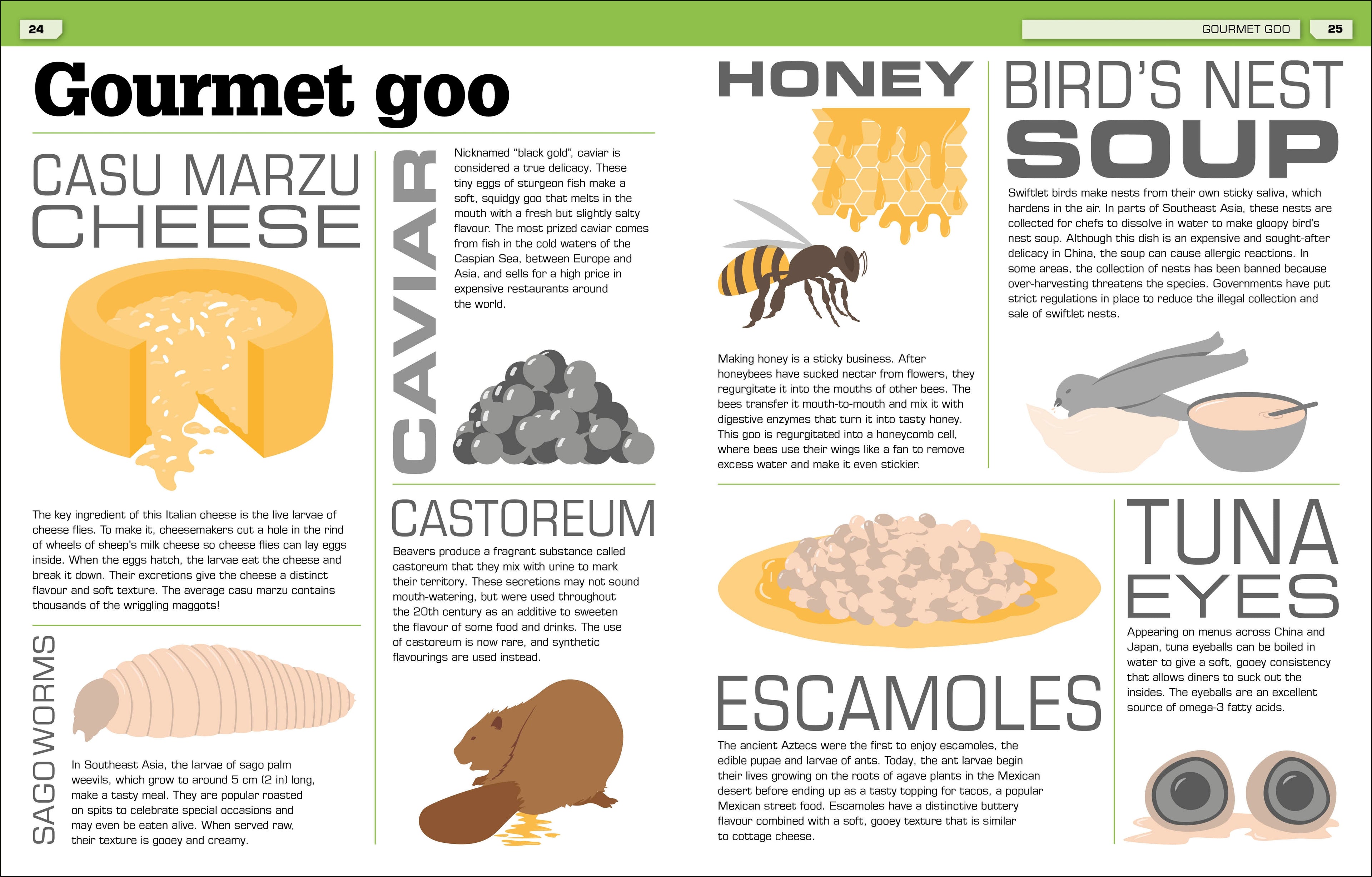 The Science of Goo!