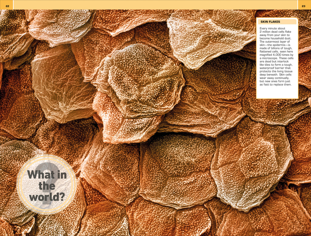 1,000 Amazing Human Body Facts