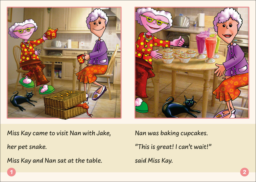 Phonic Books Dandelion Readers Vowel Spellings Level 3