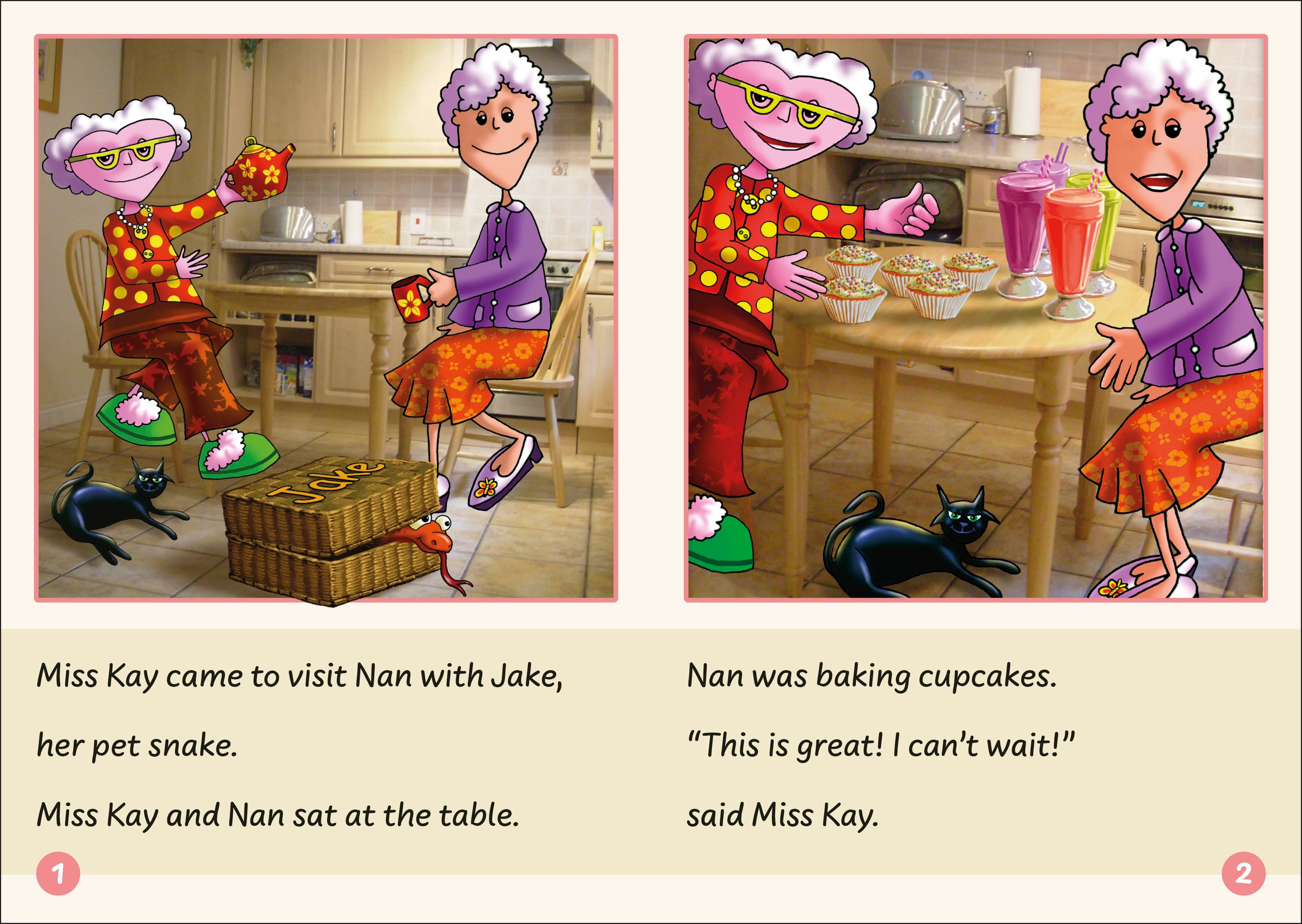 Phonic Books Dandelion Readers Vowel Spellings Level 3