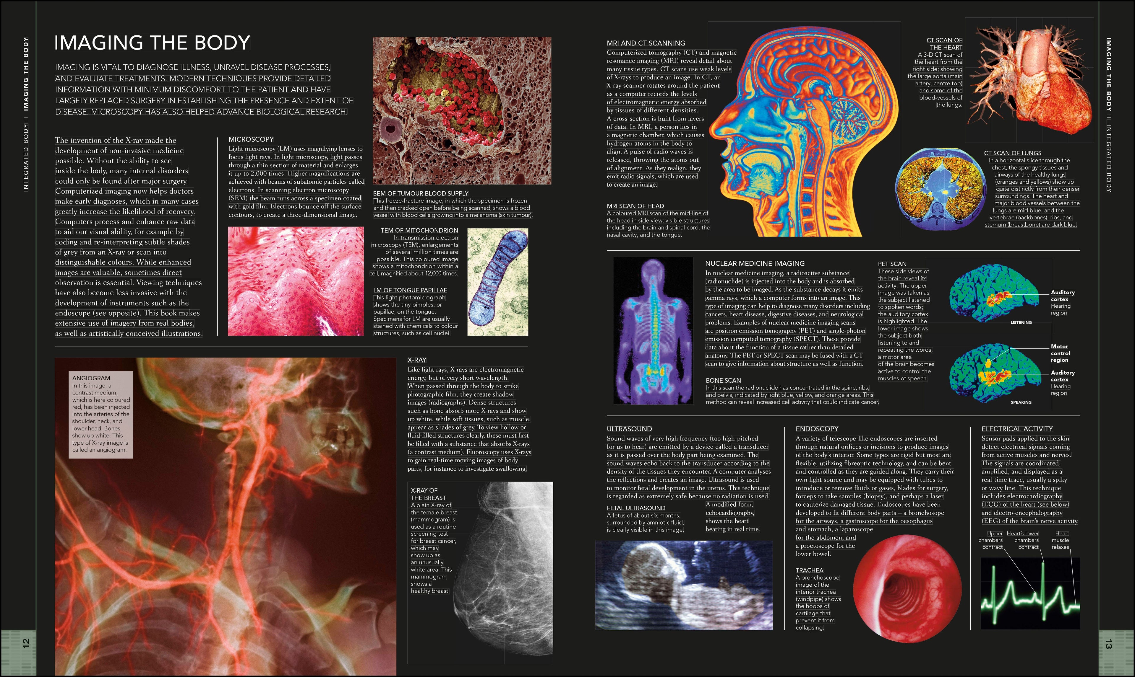 The Human Body Book