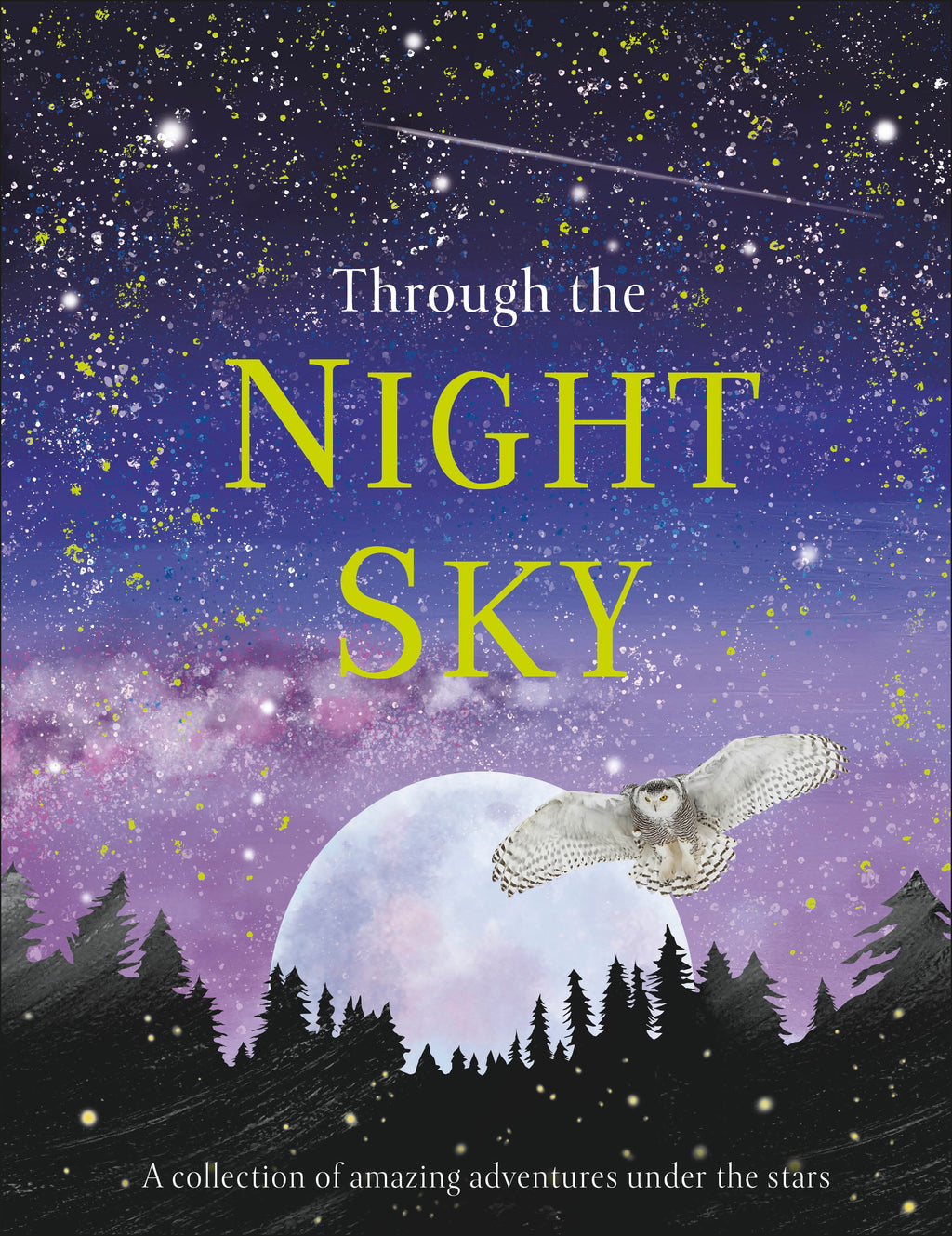 Through the Night Sky jacket