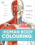 The Human Body Colouring Book-book cover