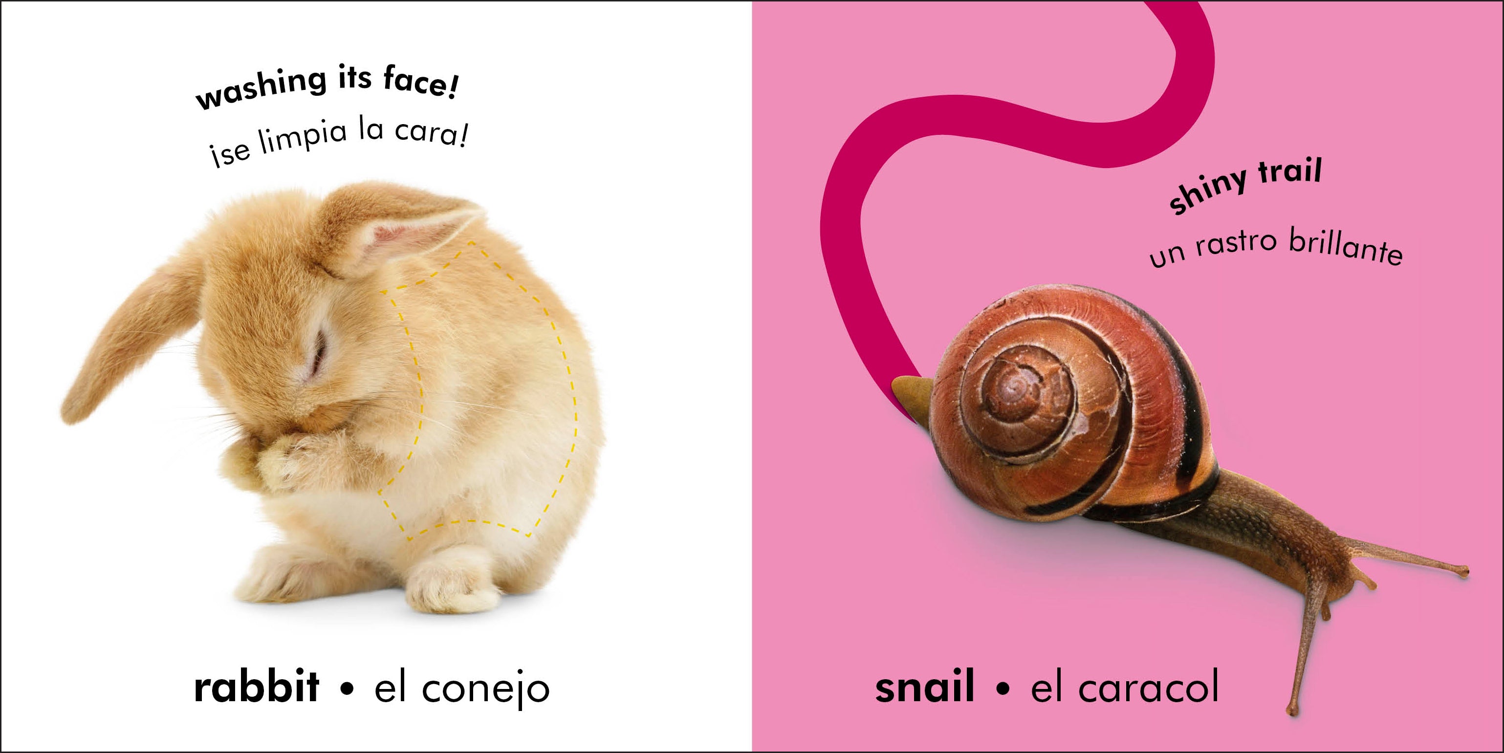 Bilingual Baby Touch and Feel: Animals - Los animales-image