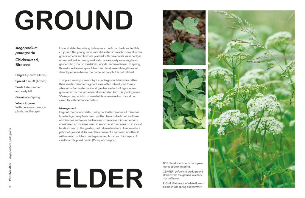 What's That Weed?-Spread, Image, (PRHC, Design, Do, Not, Use)-4