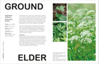 What's That Weed?-Spread, Image, (PRHC, Design, Do, Not, Use)-4