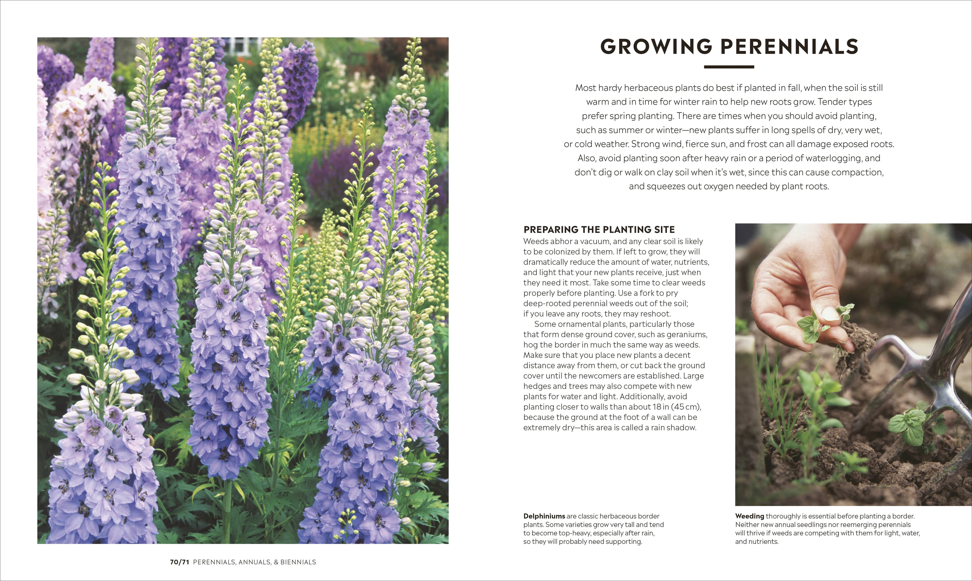 How to Garden, New Edition