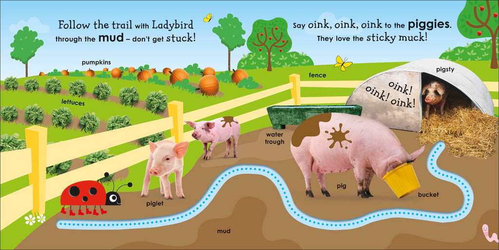 On the Farm with a Ladybird