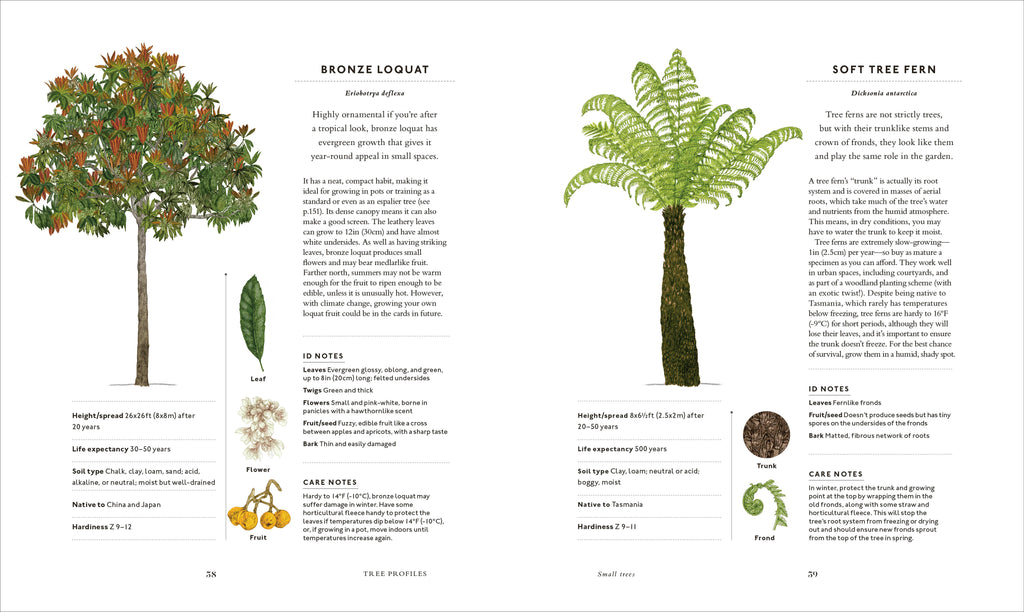 The Tree in My Garden-Spread, Image, (PRHC, Design, Do, Not, Use)-9