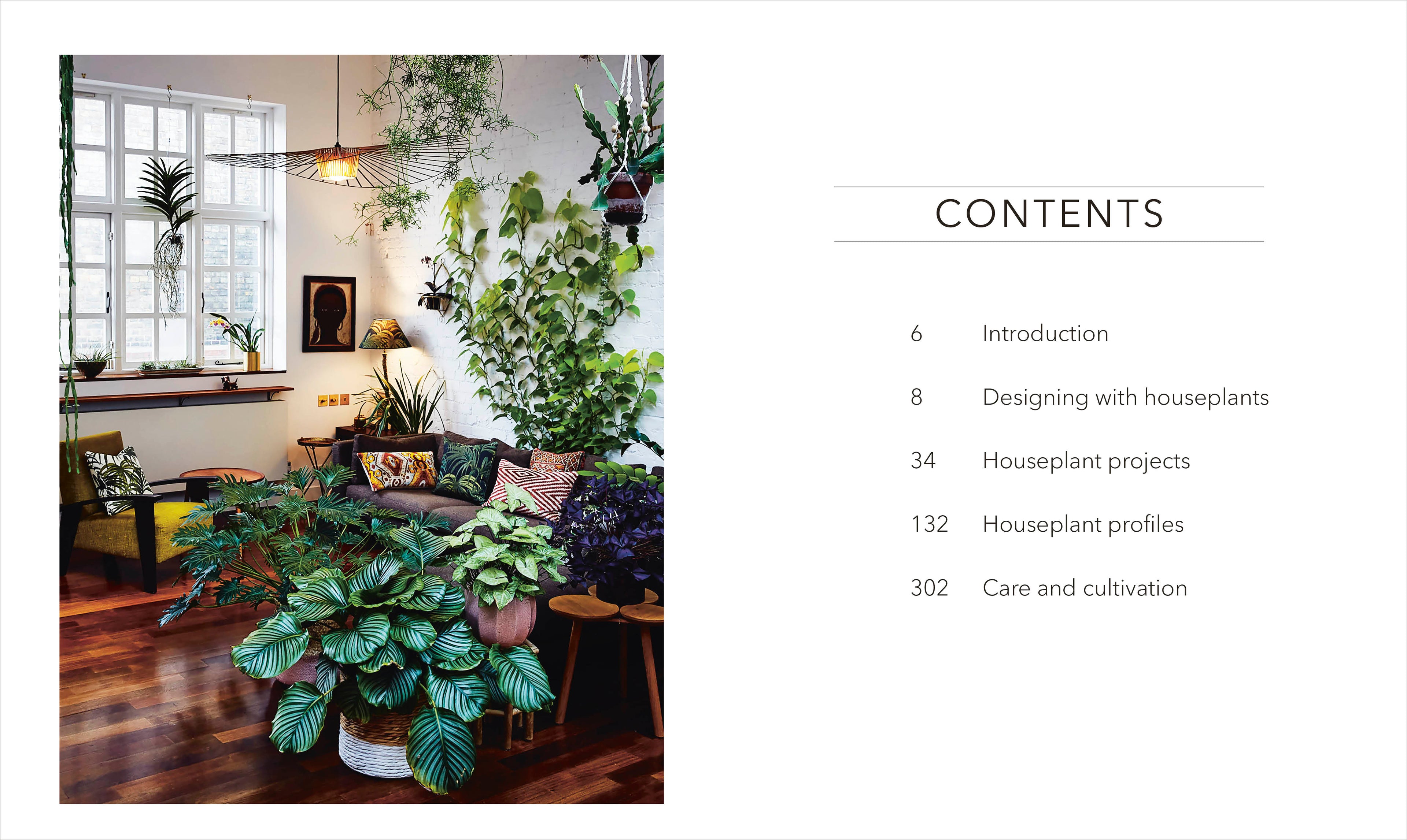 house plants catalogs Houseplant – DK