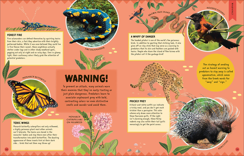 How Not to Get Eaten-Spread, Image, (PRHC, Design, Do, Not, Use)-4