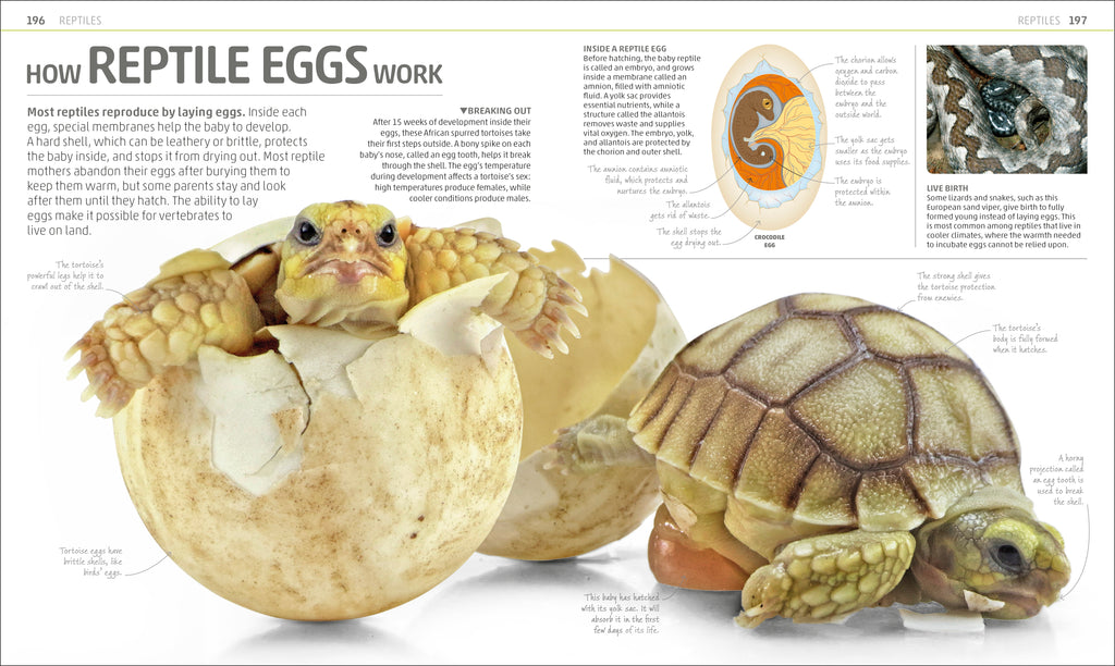 Explanatorium of Nature