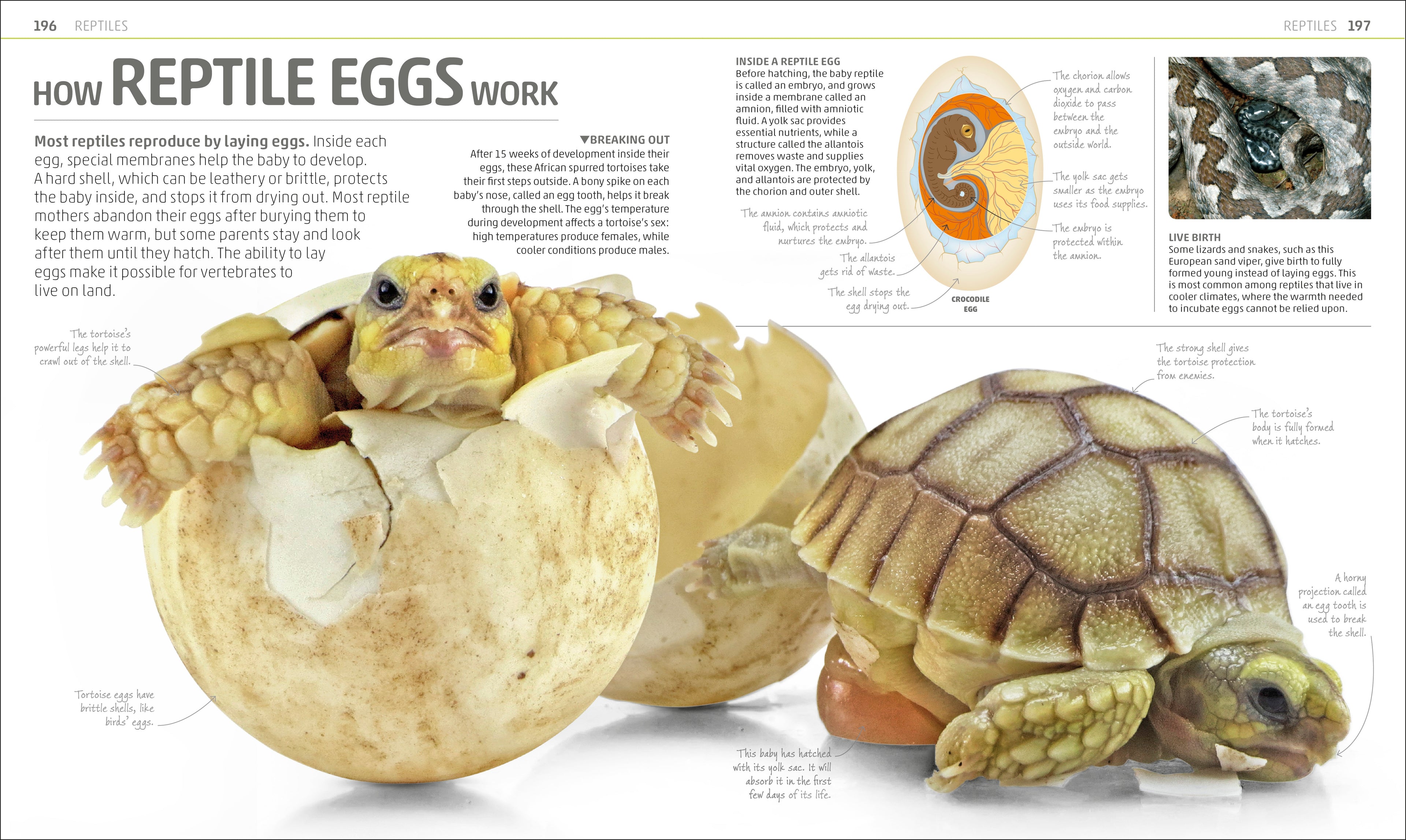 Explanatorium of Nature