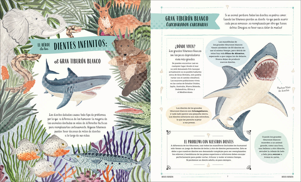 Fauna (Wild)-Spread, Image, (PRHC, Design, Do, Not, Use)-1