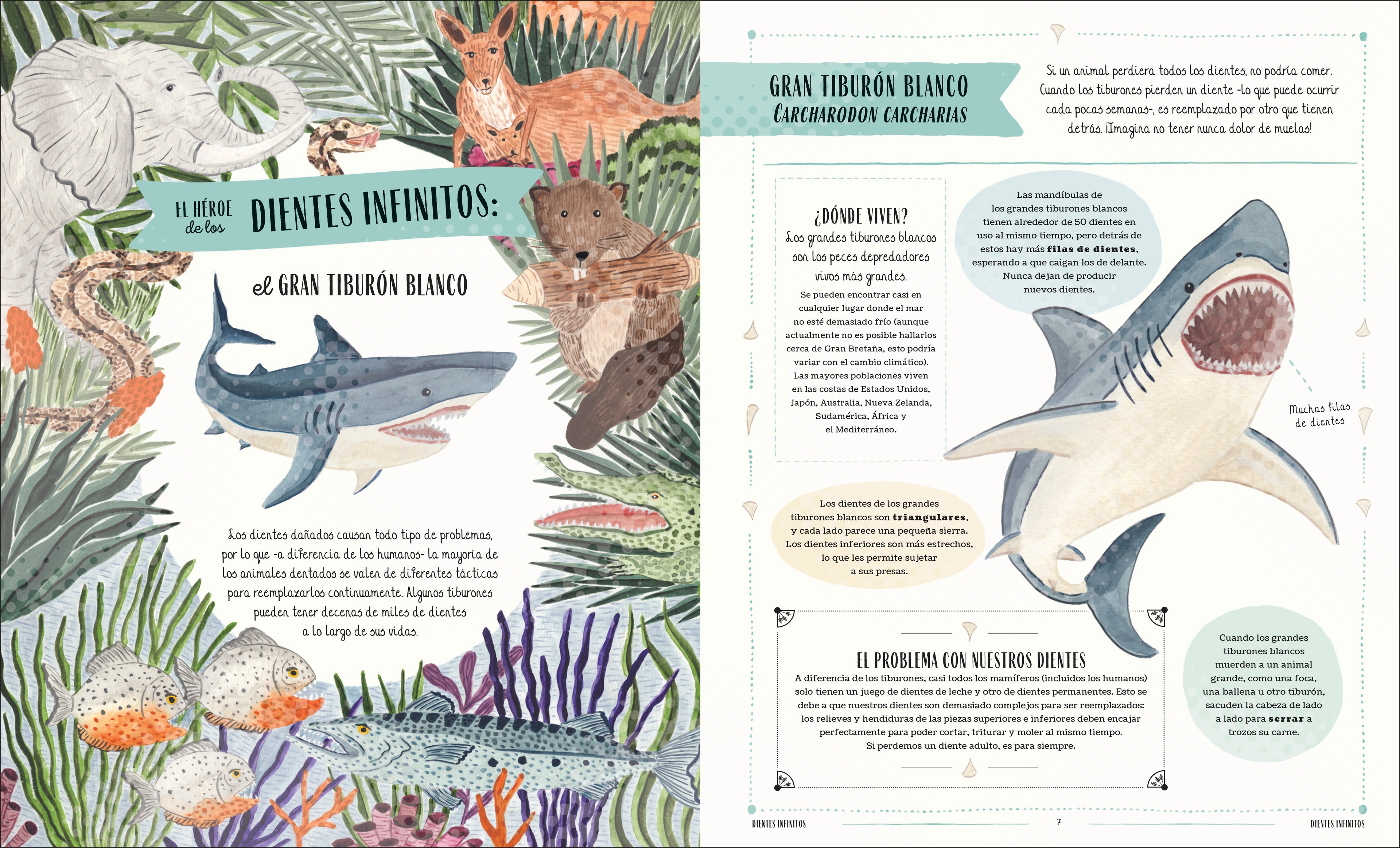 Fauna (Wild)-Spread, Image, (PRHC, Design, Do, Not, Use)-1