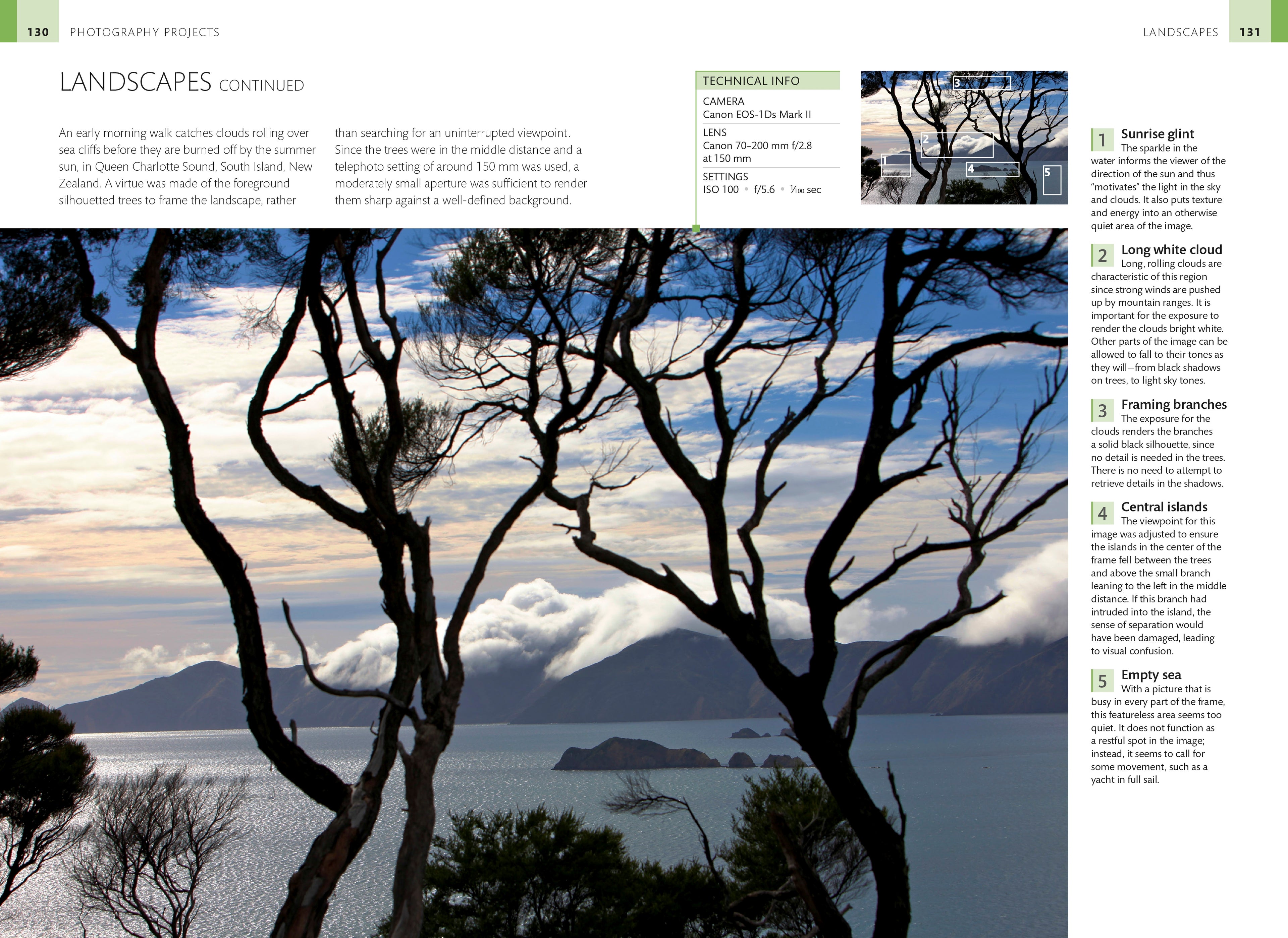 Digital Photographer's Handbook