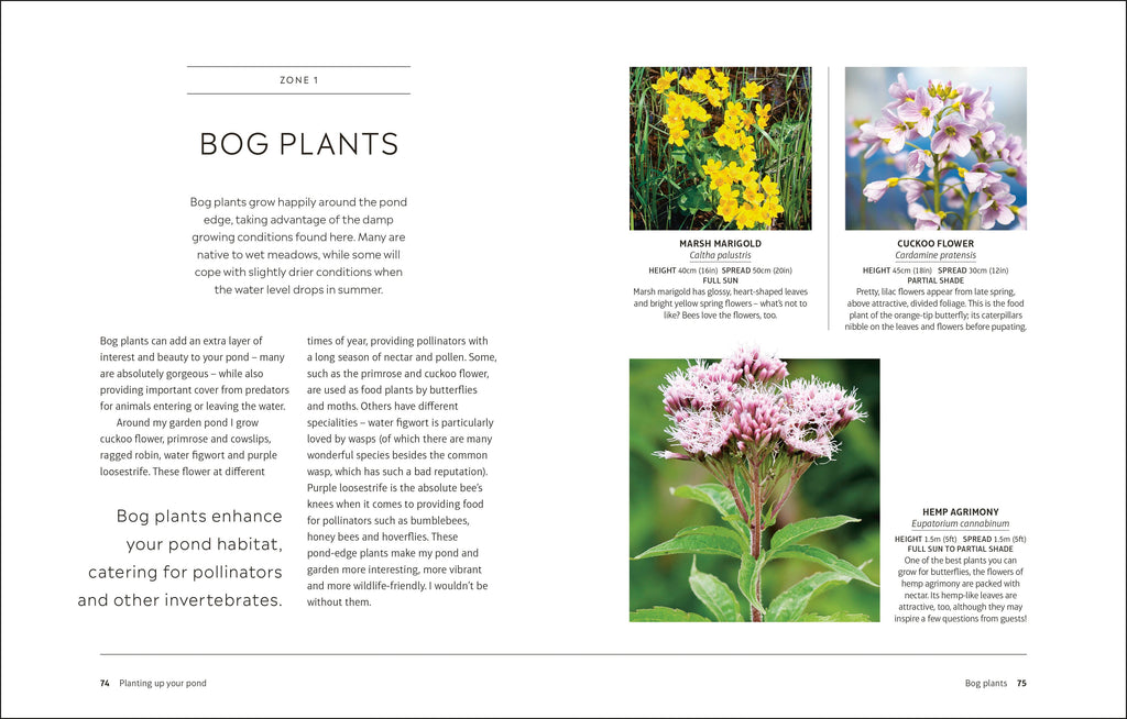 RHS How to Create a Wildlife Pond