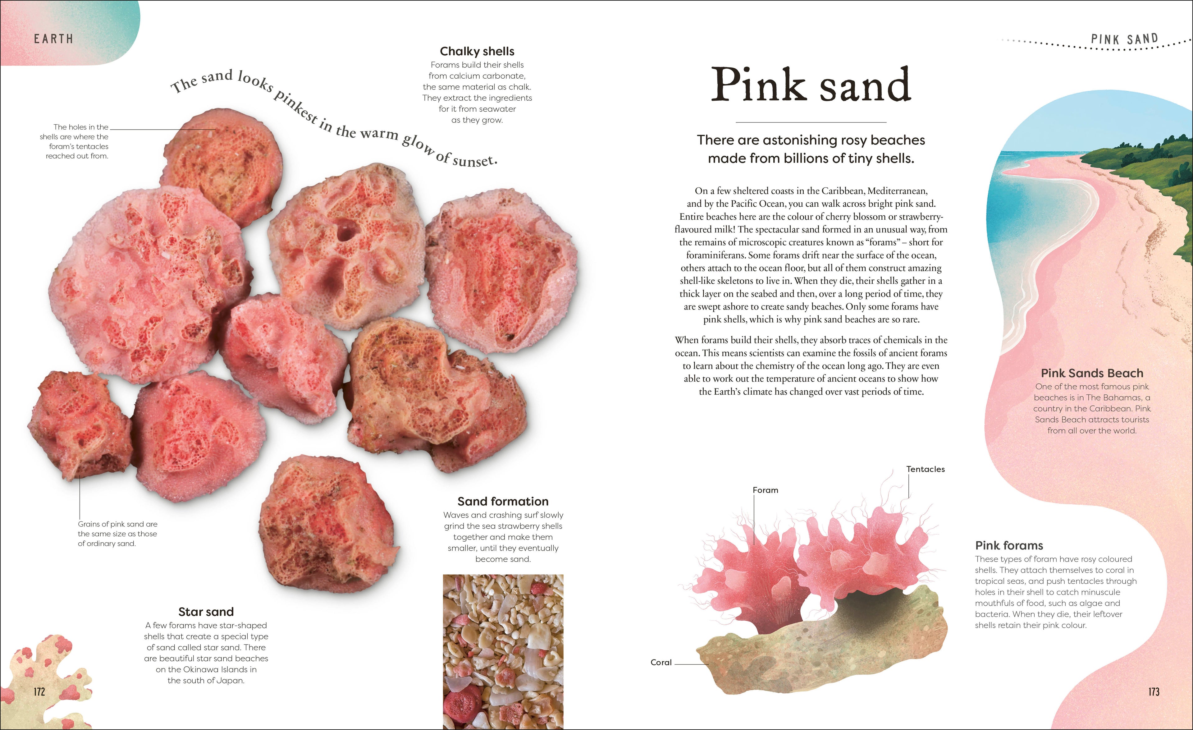 Weird and Wonderful Nature