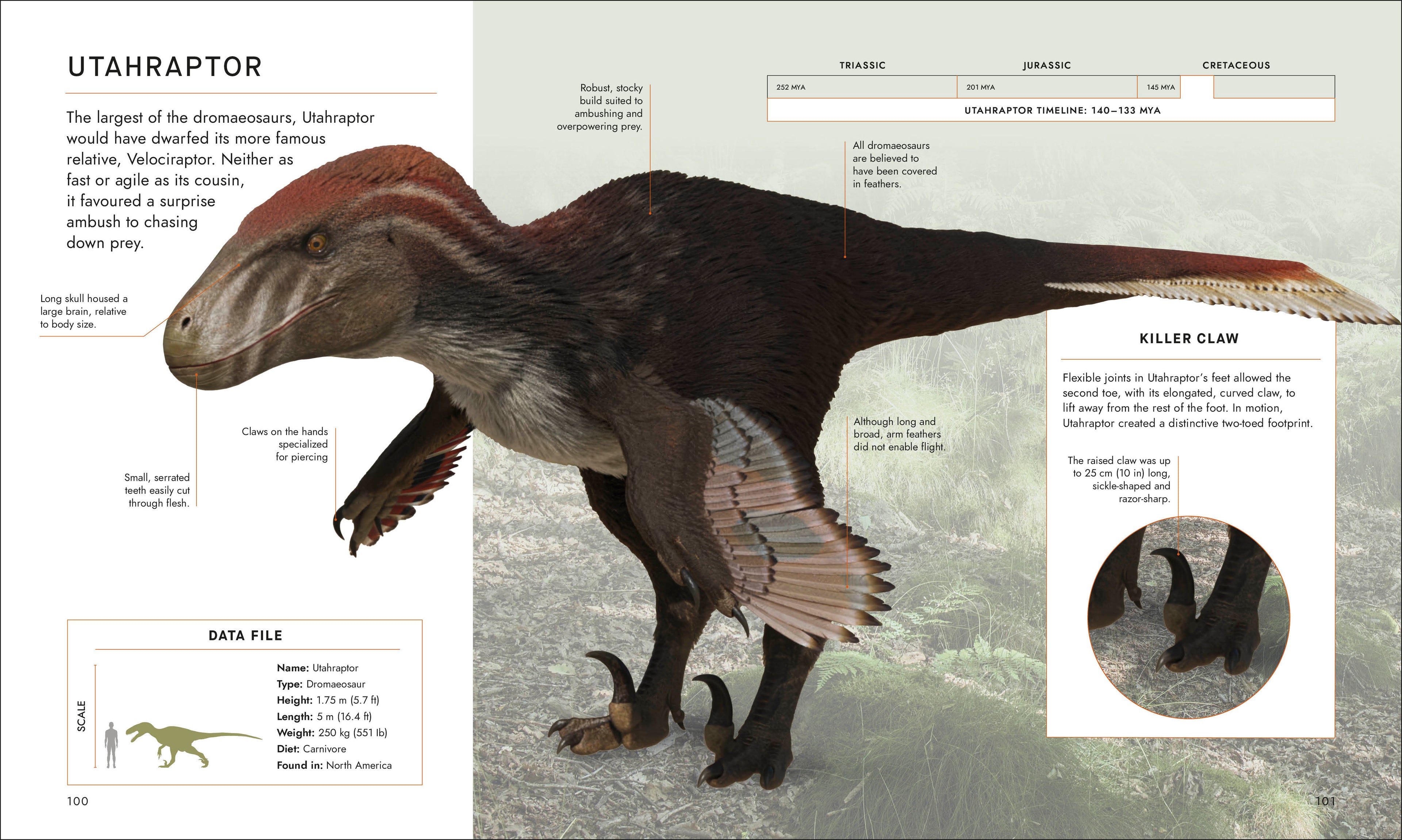 BBC Walking With Dinosaurs-Spread, Image, (PRHC, Design, Do, Not, Use)-5