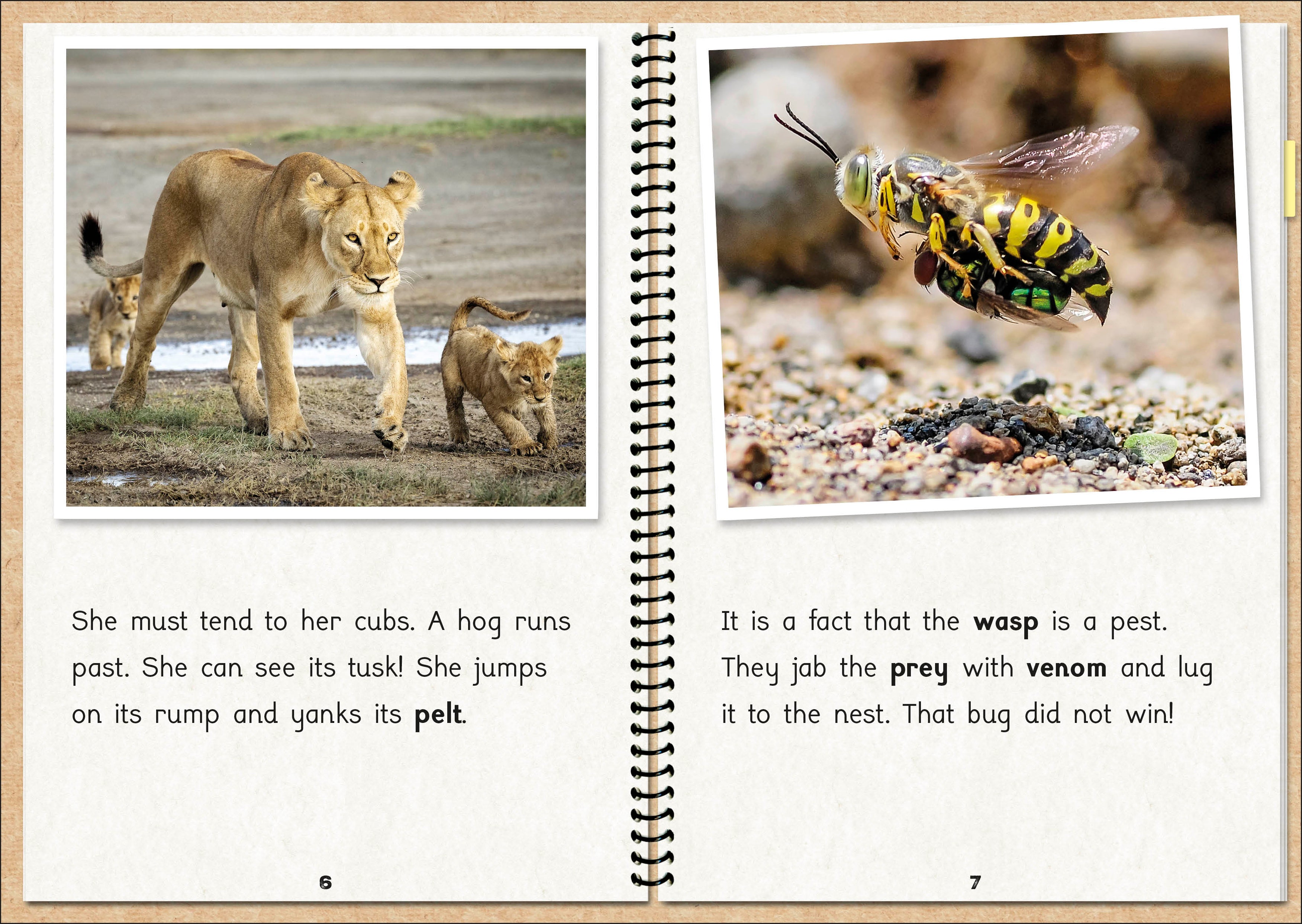 Phonic Books  The Fact Files 1