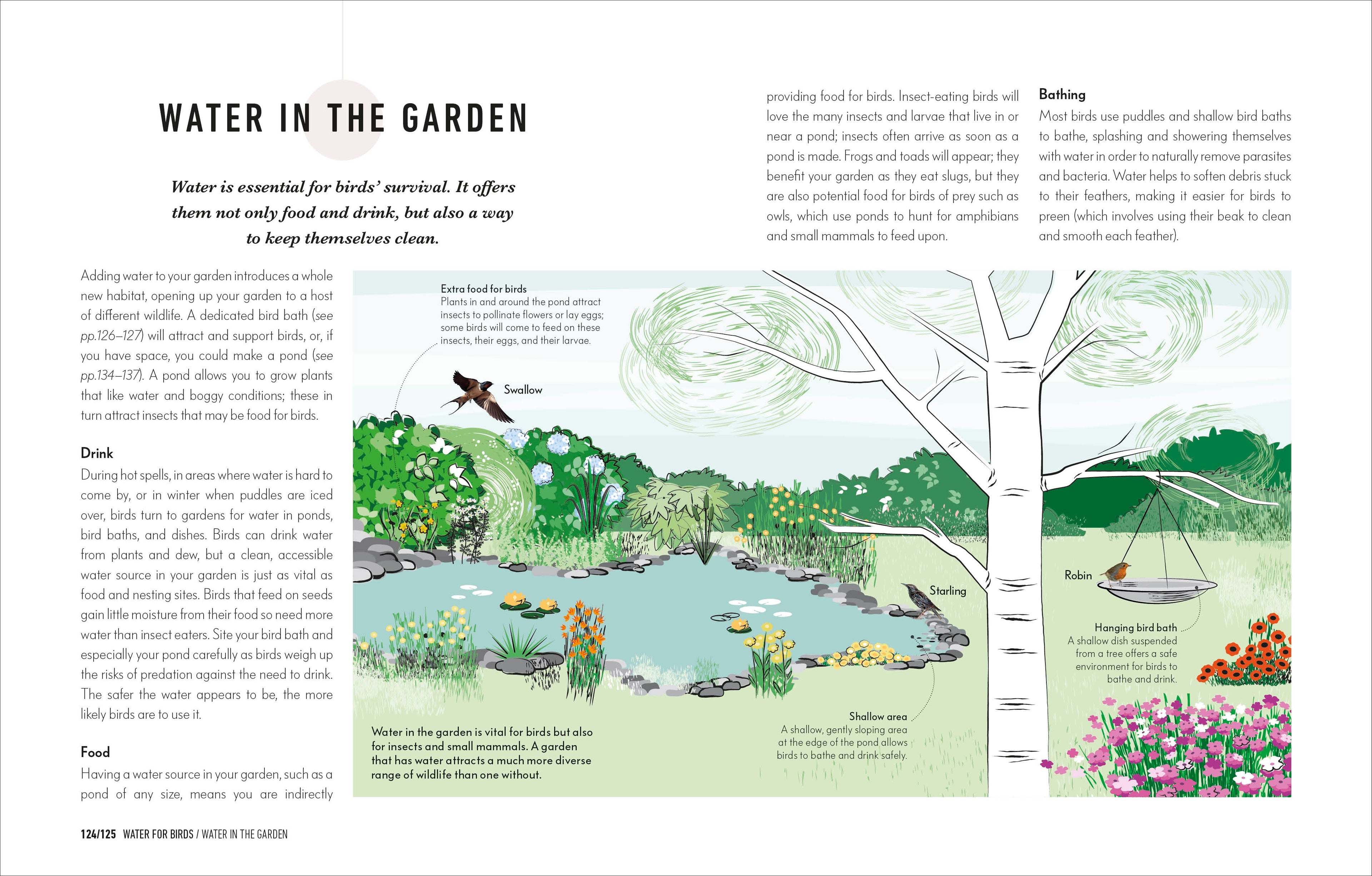 How to Attract Birds to Your Garden