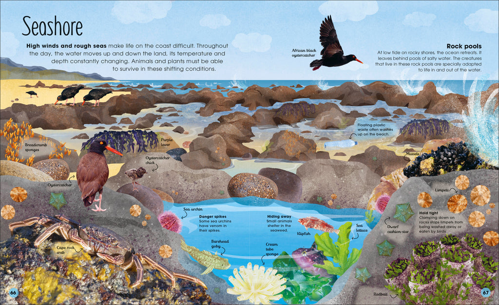 Earth's Incredible Oceans