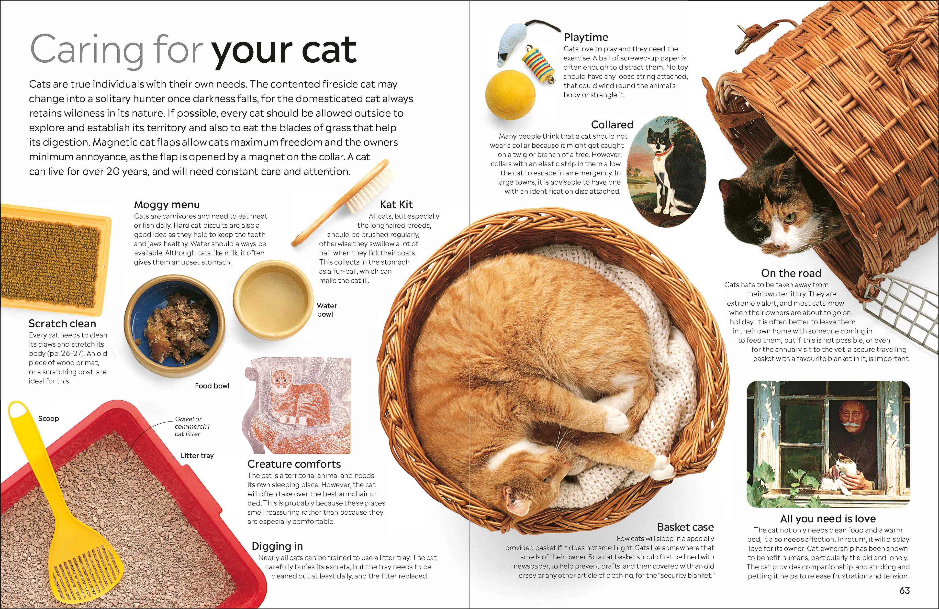 Cat-Spread, Image, (PRHC, Design, Do, Not, Use)-5