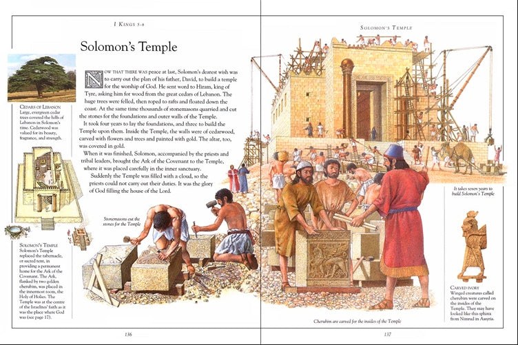 The Children's Illustrated Bible