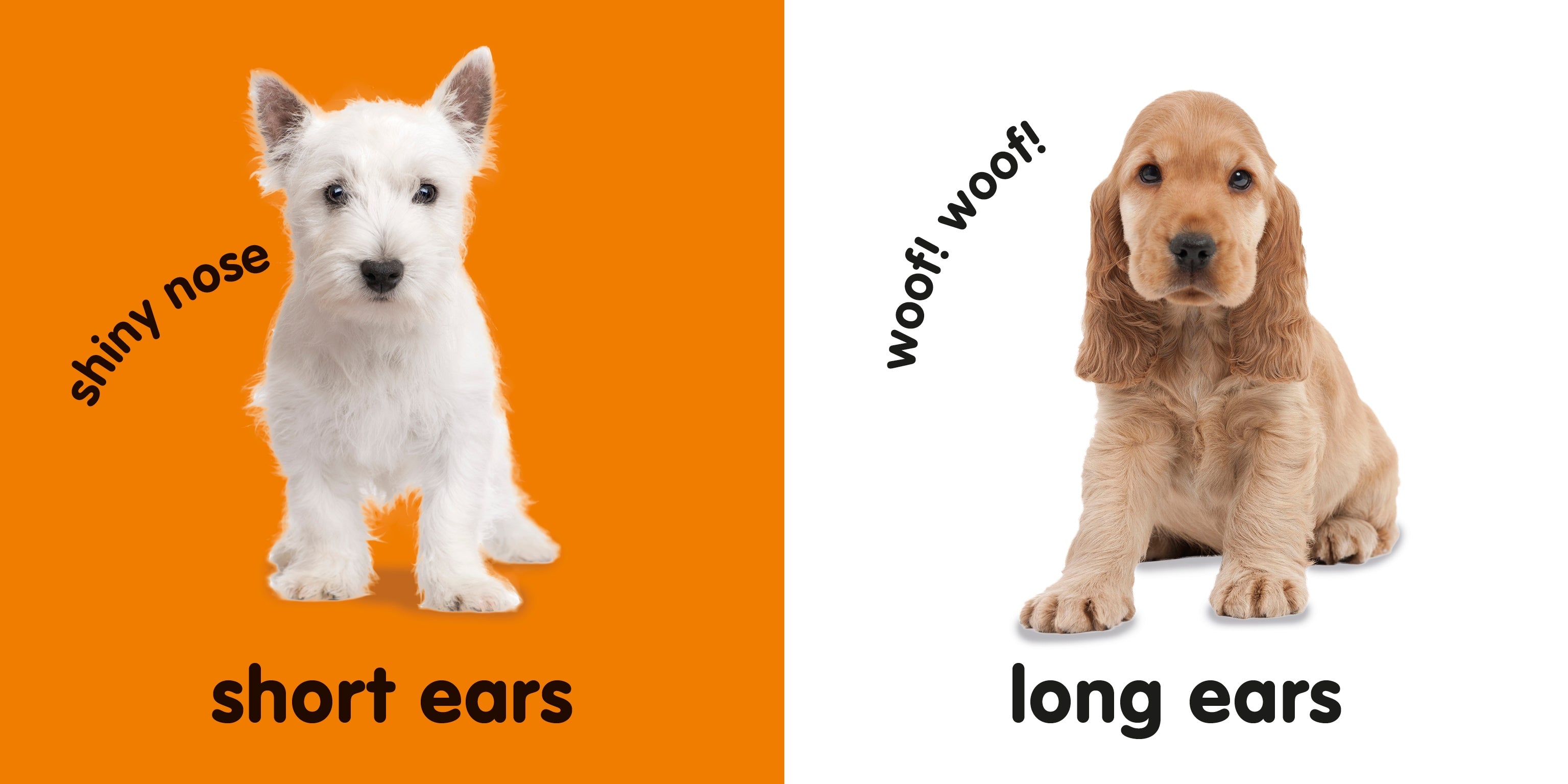 Baby Touch and Feel: Puppies