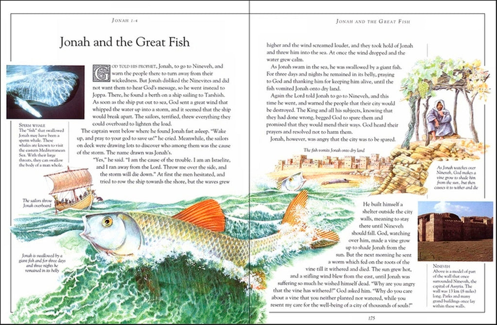 The Children's Pocket Bible-spread image