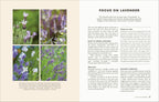 The Money-Saving Garden Year-Spread, Image, (PRHC, Design, Do, Not, Use)-5