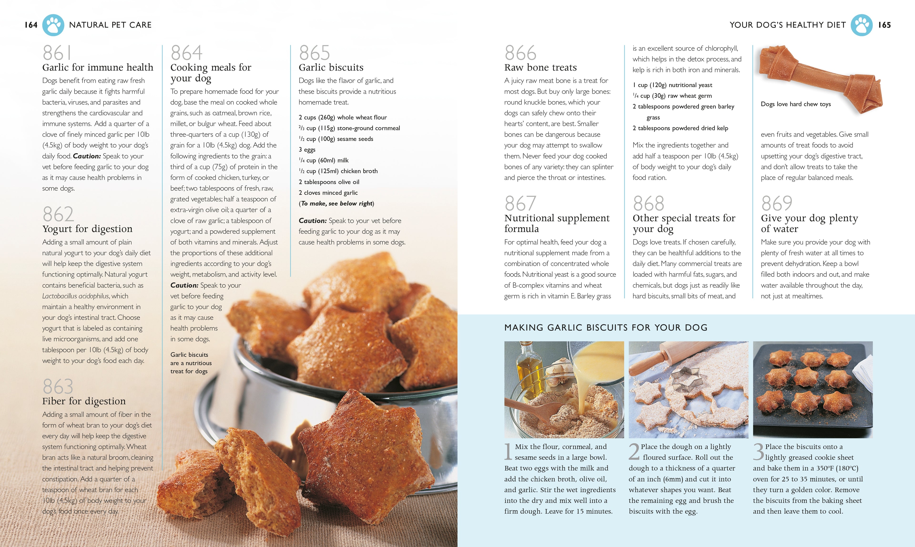 1001 Natural Remedies