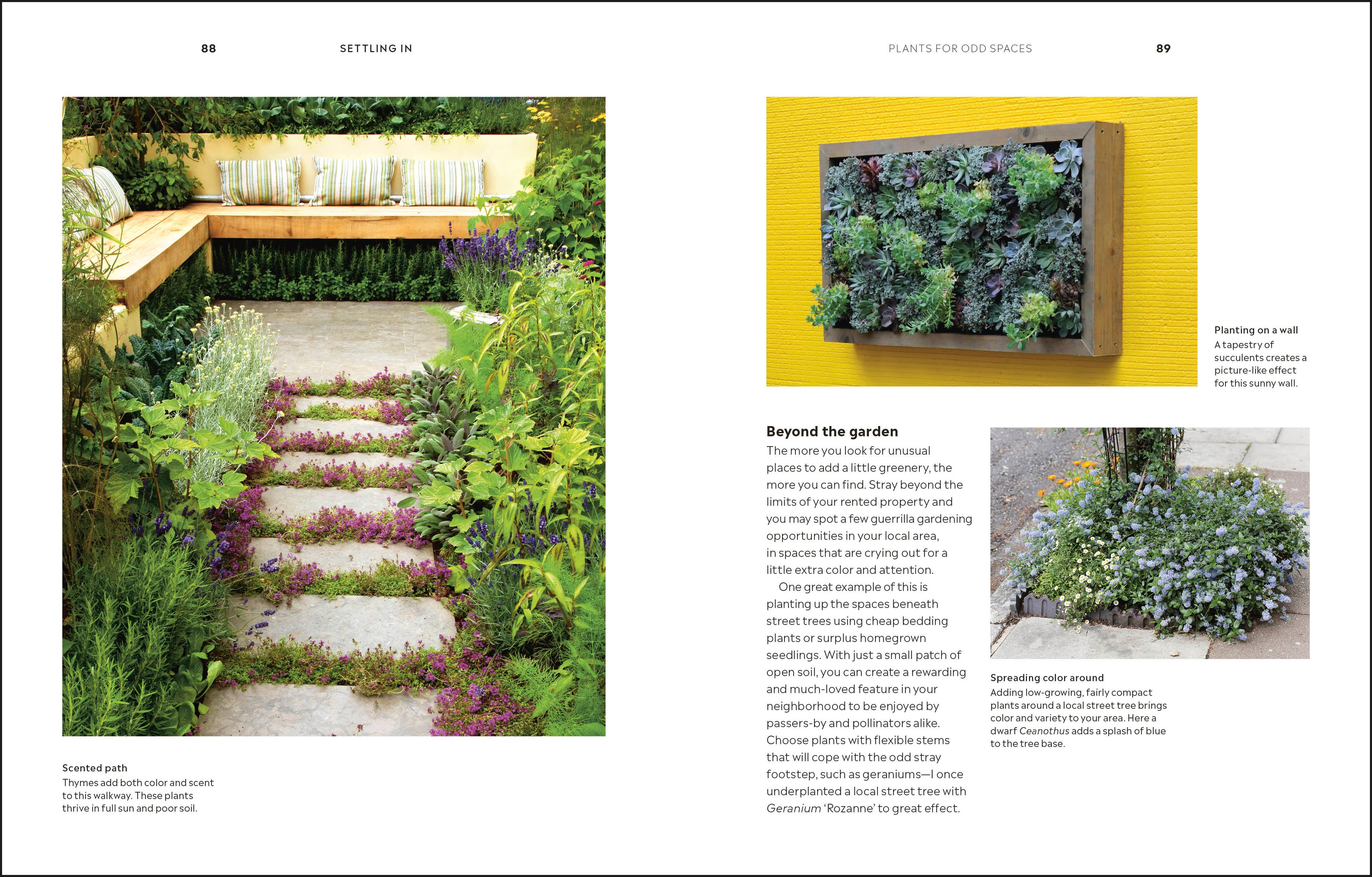 How to Garden When You Rent