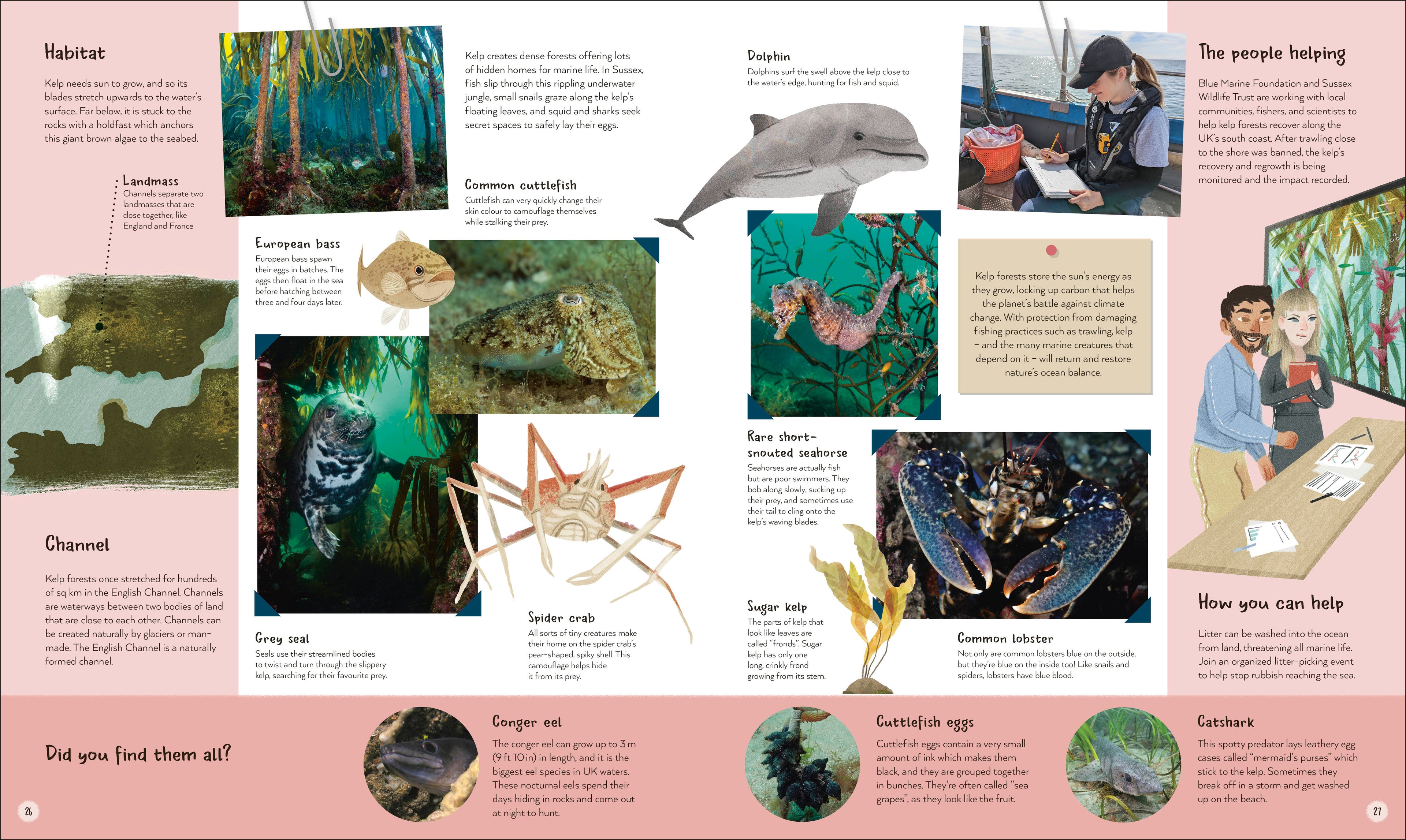 The World's Wildest Waters