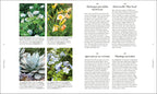 RHS A Plant for Every Day of the Year-spread image