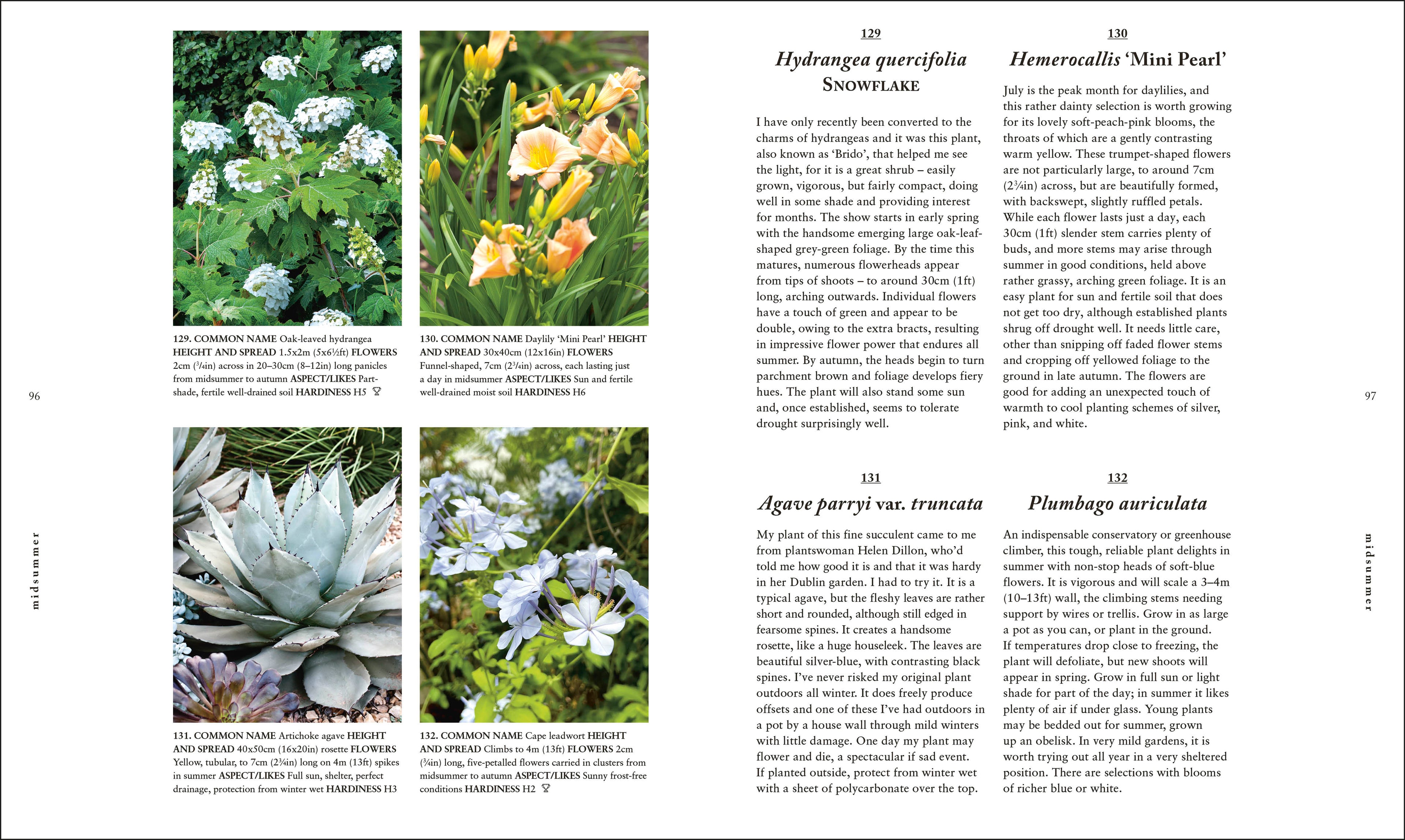 RHS A Plant for Every Day of the Year-spread image