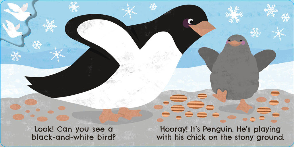 Eco Baby Where Are You Penguin?