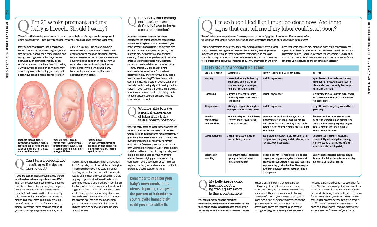 The Pregnancy Encyclopedia