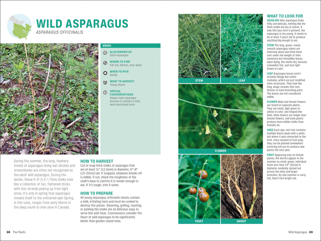 Foraging-Spread, Image, (PRHC, Design, Do, Not, Use)-4