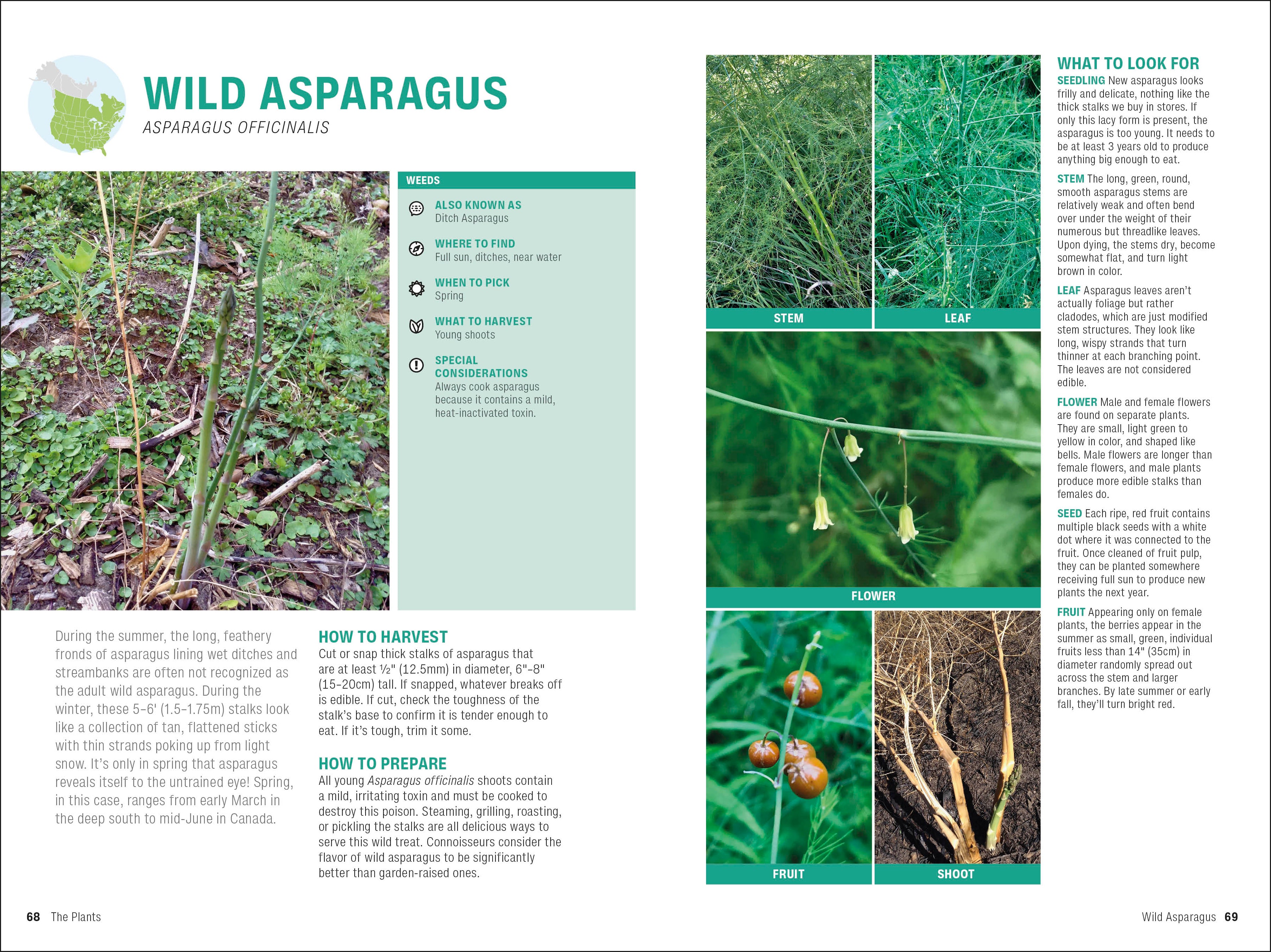 Foraging-Spread, Image, (PRHC, Design, Do, Not, Use)-4