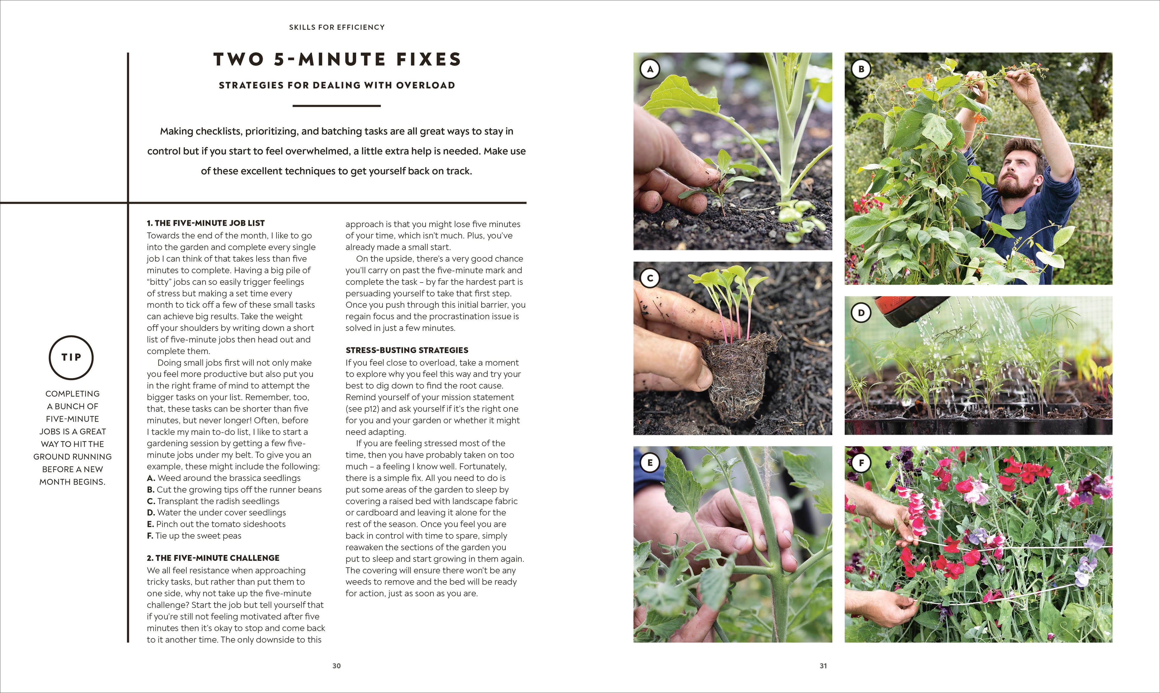 The Vegetable Grower's Handbook-spread image