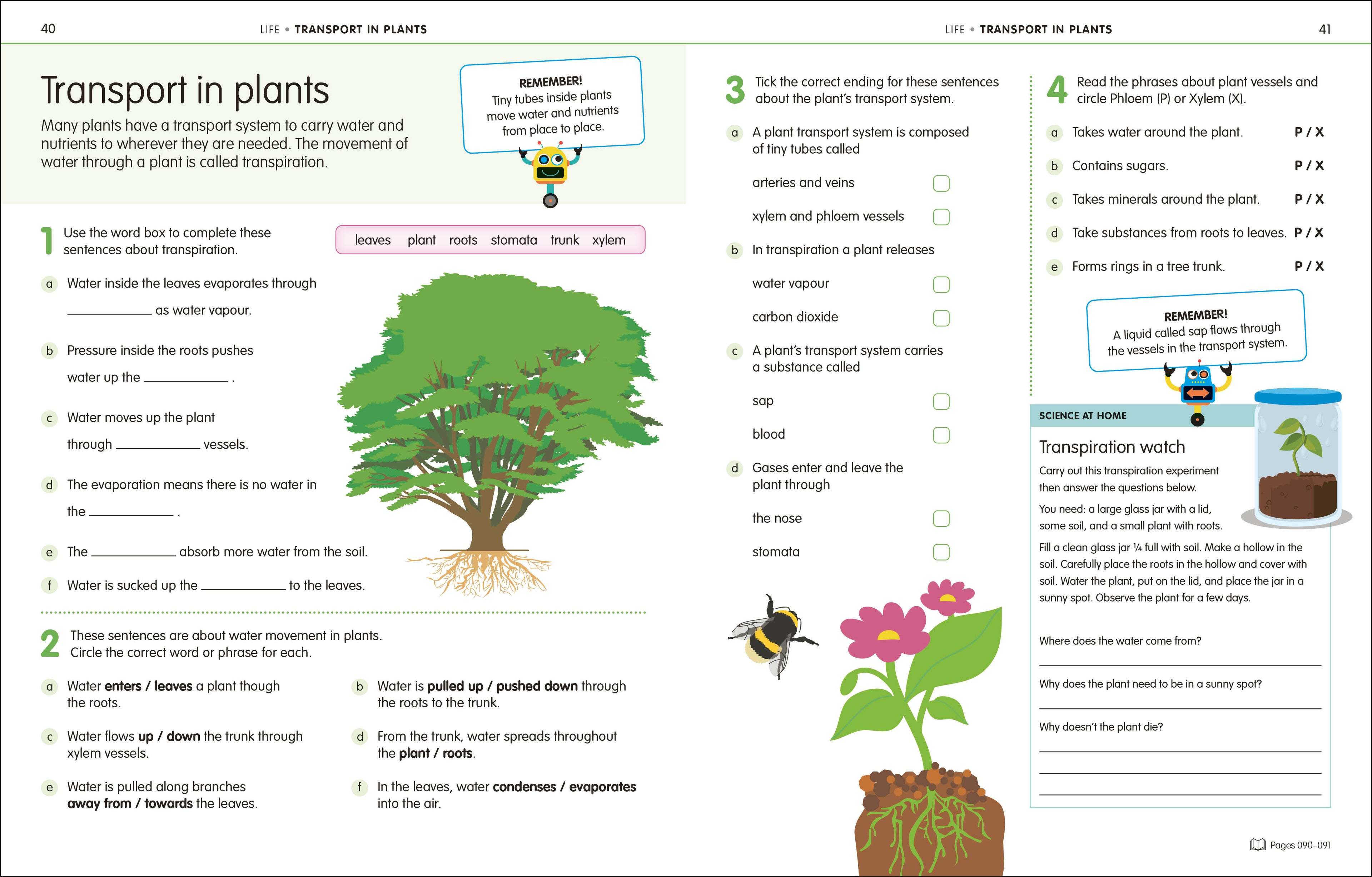 How to Be Good at Science, Technology and Engineering Grade 6-8-Spread, Image, (PRHC, Design, Do, Not, Use)-6