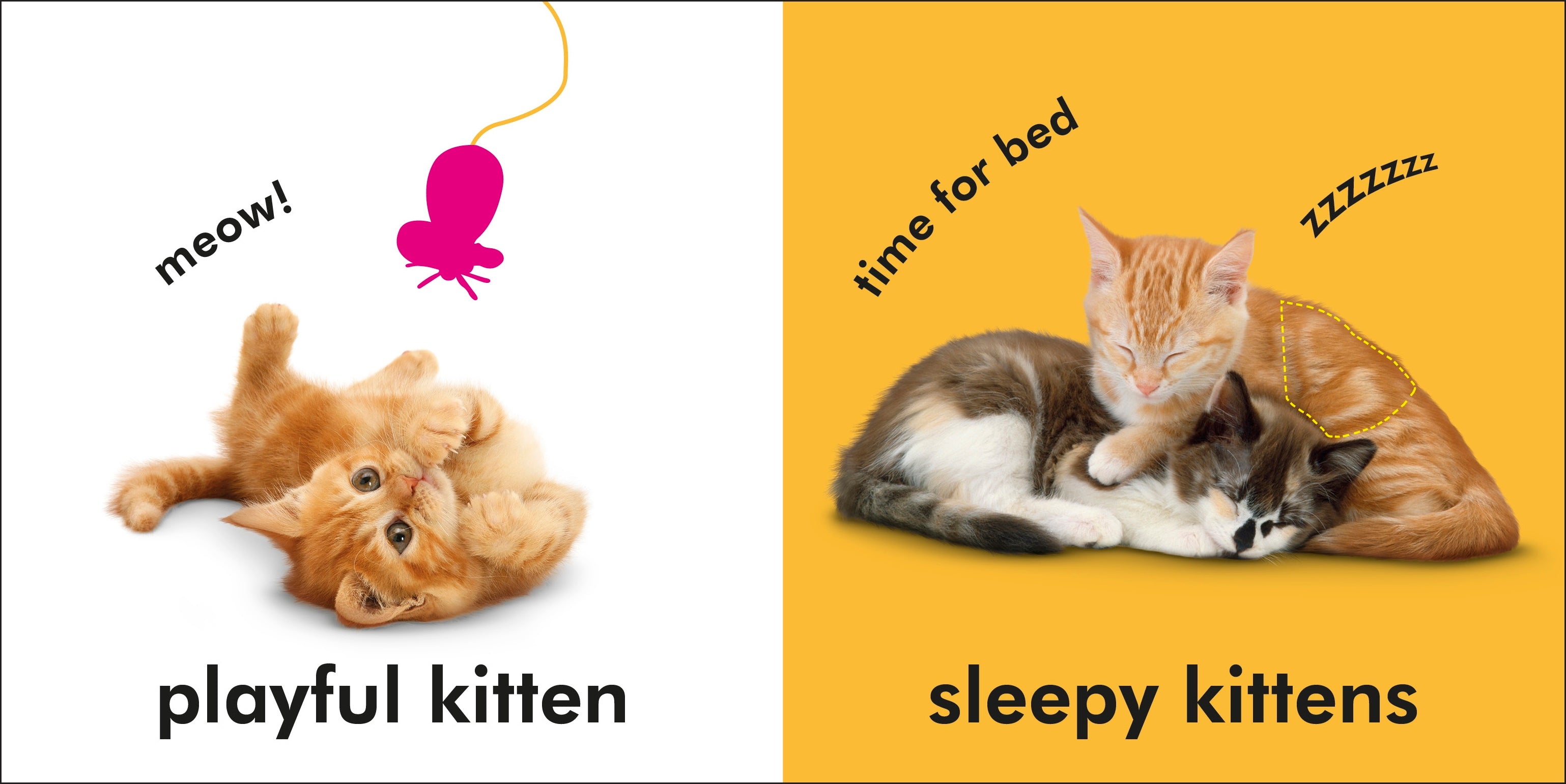 Baby Touch and Feel Kittens