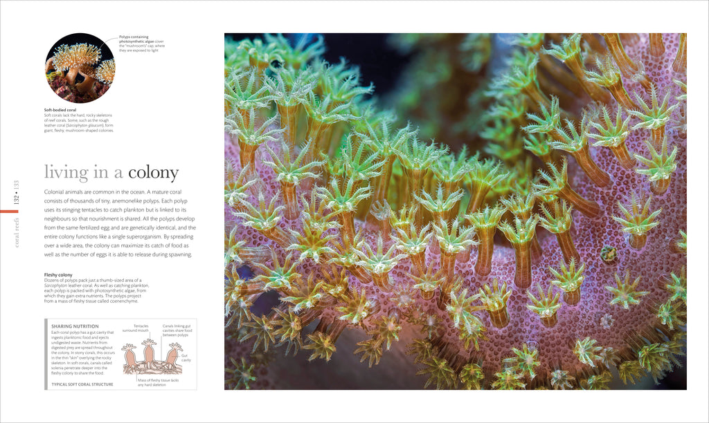 The Science of the Ocean