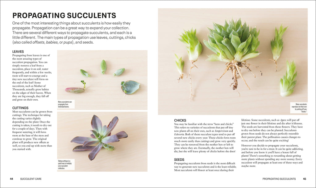 Succulents-Spread, Image, (PRHC, Design, Do, Not, Use)-3