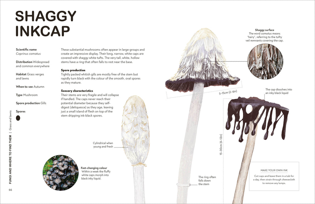 RHS Fungi for Gardeners-Spread, Image, (PRHC, Design, Do, Not, Use)-4