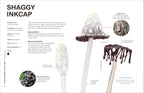 RHS Fungi for Gardeners-Spread, Image, (PRHC, Design, Do, Not, Use)-4