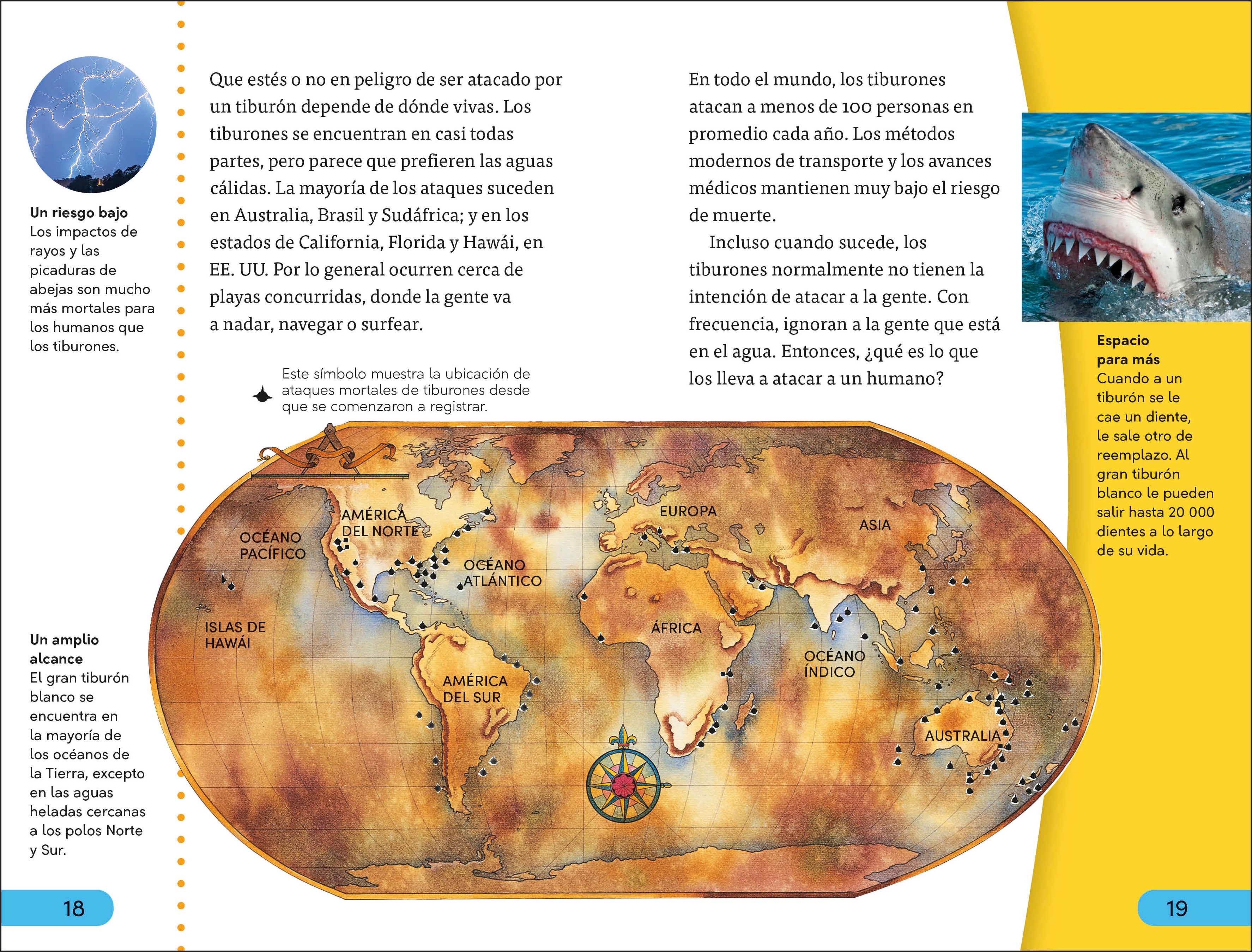 DK Super Readers Level 4 Ataques de tiburones (Shark Attack)-Spread, Image, (PRHC, Design, Do, Not, Use)-3