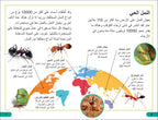 DK Super Readers Level 3 Ant Antics (Arabic translation)-Spread, Image, (PRHC, Design, Do, Not, Use)-2